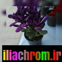 مخمل پاش/دستگاه مخمل پاش با ضمانت نامه و قیمت مناسب09127692842