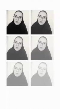 نمایندگی گانودرما