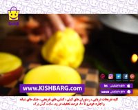میگو کبابی در طبیعت،آشپزی در طبیعت با میگو کبابی