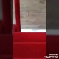 تولید دستگاه مخمل پاش نیوکالر 09195498568