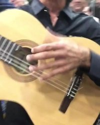 شقایق فراهانی در کنسرت "جیبسی کینگ"