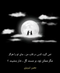 کلیپ عاشقانه با موسیقی ترکی و شعری از معین تبریزی