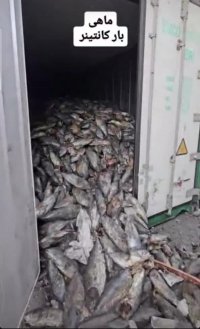 تصاویری از محموله چند کانتینر نزدیک به محل آتش‌ سوزی شهید رجایی