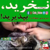 حیوانات را نخرید ، به سرپرستی بپذیرید یا پناهشان دهید.