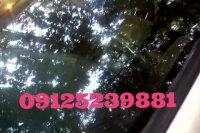 ترمیم شیشه اتومبیل 09125239881 _02144145701