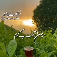 کلیپ تکست ناب .آدینتون چون بهار سبز .دلنوشته خاص .برای وضعیت واتساپ