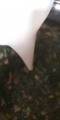 غذای یزدی(شولی)