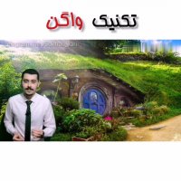 افزایش درآمد با تکنیک واگن : امیرحسین حقیقی