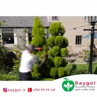 هرس زینتی درختان بوته ها و درختچه ها
