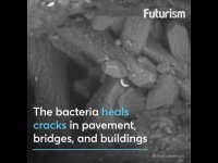 بتن خودترمیم شونده.