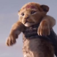 تریلر بلوری فیلم لایو اکشن شیر شاه - The Lion King