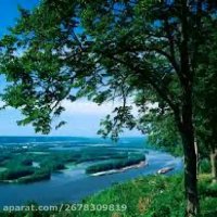 موسیقی اصیل - آهنگ دنیا فقط دو روزه - خواننده علی سیار