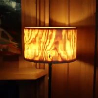 هنرنمایی با الوار