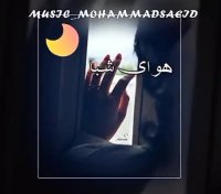 محسن ابراهیم زاده ، برداشت و رفت