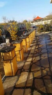 نصب و اجرای سنگ لاشه سنگ مالون سنگ کوهی 09124026545