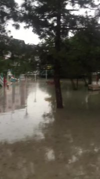 سیل در آنکارا