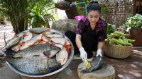 آشپزی روستایی چینی مادر و دختر - ماهیگیری و پخت آن