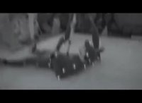 بازیگر انیمیشن علی عنبری