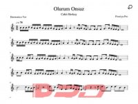 نت سازدهنی Olurum Onsuz Cahit Berkay