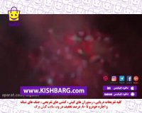 مرغ ترش در طبیعت،آشپزی در طبیعت،مرغ ترش مزه،غذای ایرانی