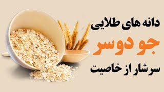 دانه های طلایی جو دوسر سرشار از خاصیت