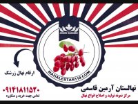 خرید نهال زرشک 09141811520