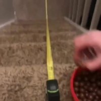 چهل هزارمین روز قرنطینه