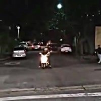 موتور سواری با شیپور !