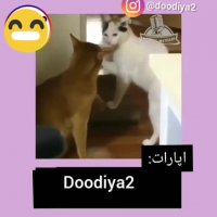 لعنتی پوکیدم از خنده از دست نده