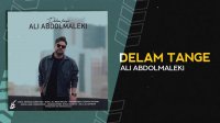 آهنگ جدید علی عبدالمالکی بنام دلم تنگه