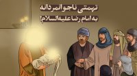 تهمتی ناجوانمردانه به امام رضا علیه السلام!