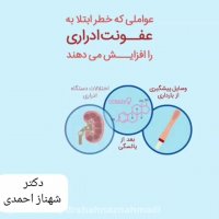 عوامل افزایش دهنده خطر ابتلا عفونت ادراری