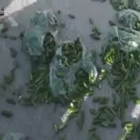 اعتراض کشاورزان "خیار"