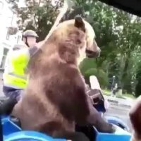 یک روز عادی در روسیه