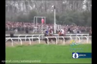 واگذاری مجموعه های سوارکاری گلستان به مدیریت بومی