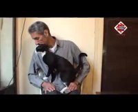 گربه های بهشت بَر؛ گربه هایی که جواز ورود به بهشت هستند