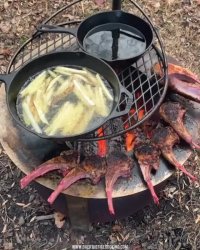 آشپزی در طبیعت قسمت 17