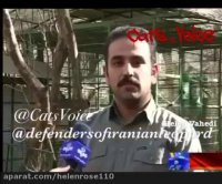 سرنوشت وركان پلنگ ایرانى را مانند خواهرش به بازى نكشیم