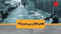 چادر‌خوابی عجیب کنار بیمارستان‌های تهران