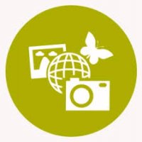 آموزش ساخت ویروس-امیر اموزش