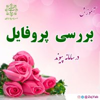 بررسی پروفایل در سامانه همسریابی و همسان گزینی پیوند