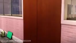 دختر کفشدوزکی و گربه ی سیاه فصل 3 دوبله ی فارسی