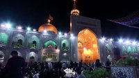 سید جواد ذاکر میلاد امام رضا(ع) کلیپ ویژه