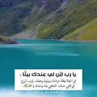 صوت عبدالرحمن مسعد