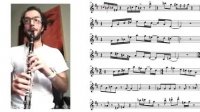 کلارینت نوازی / استاد آقای داریوش بیژنی