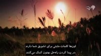 ⁣از شکست نترسید و برای آینده برنامه داشته باشید