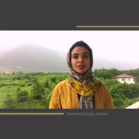 محبت کنیم بی منت