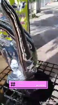 دستگاه مخمل پاش. مخملپاش.کارینو فلوک