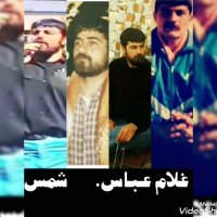 زرنگ های شیراز