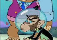 کارتون باب اسفنجی.